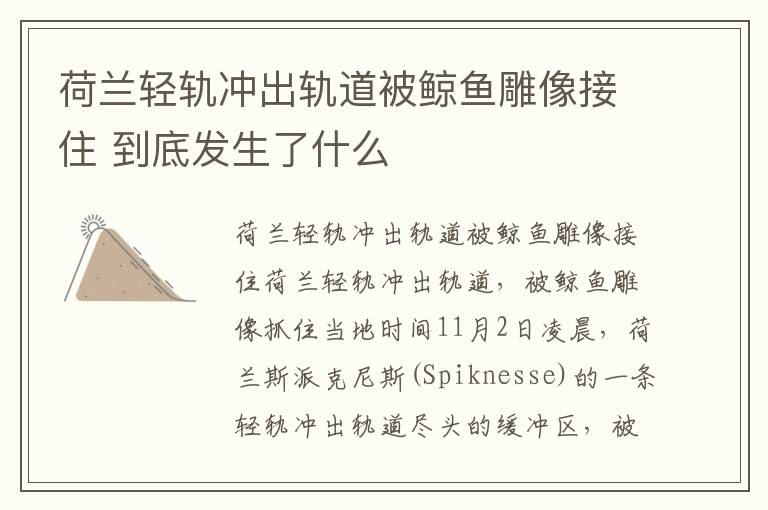 荷兰轻轨冲出轨道被鲸鱼雕像接住 到底发生了什么