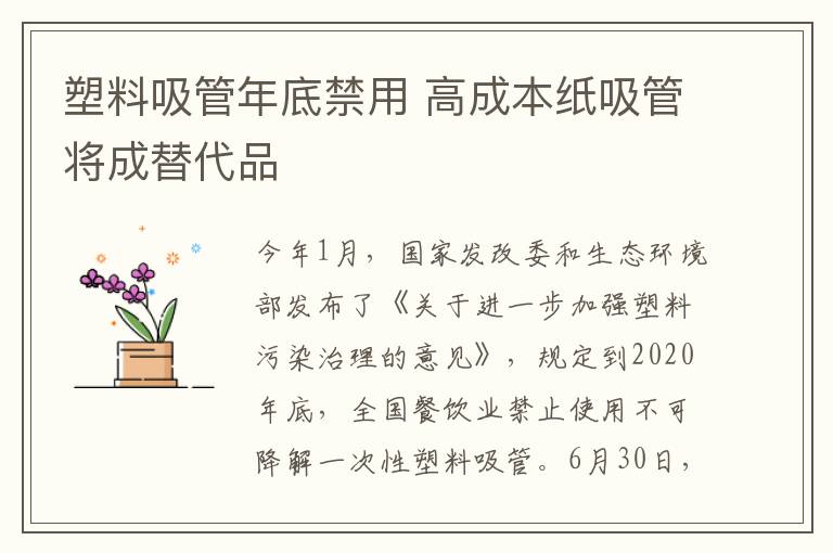 塑料吸管年底禁用 高成本纸吸管将成替代品