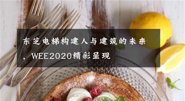 东芝电梯构建人与建筑的未来，WEE2020精彩呈现