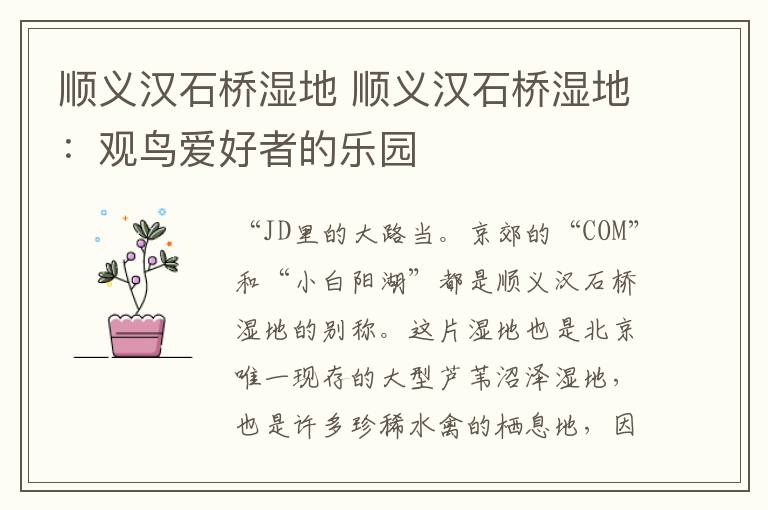 顺义汉石桥湿地 顺义汉石桥湿地:观鸟爱好者的乐园