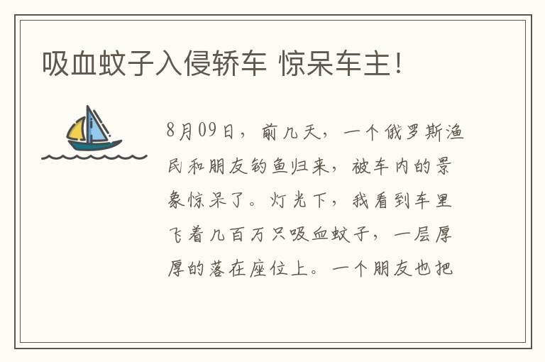 吸血蚊子入侵轿车 惊呆车主!