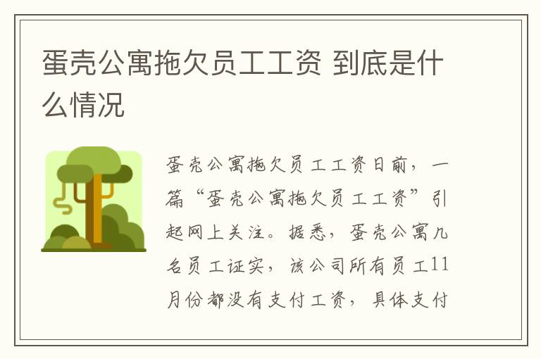 蛋壳公寓拖欠员工工资 到底是什么情况