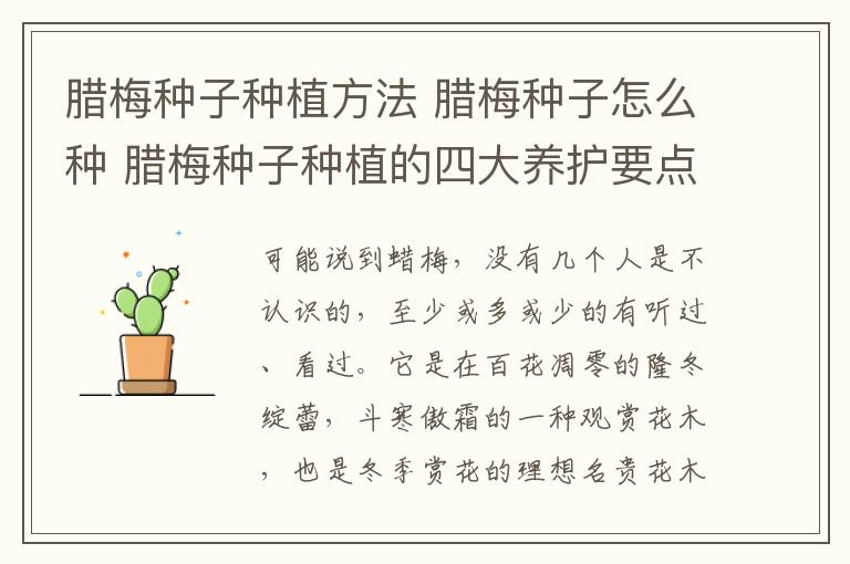 腊梅种子种植方法 腊梅种子怎么种 腊梅种子种植的四大养护要点