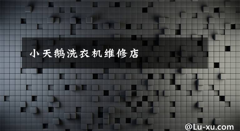 小天鹅洗衣机维修店