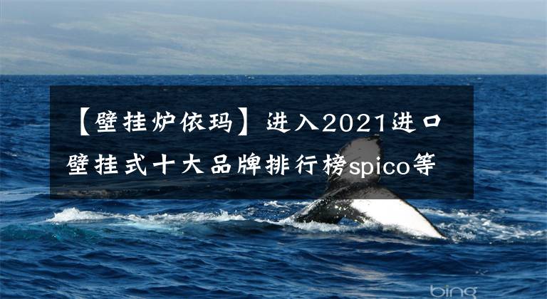 【壁挂炉依玛】进入2021进口壁挂式十大品牌排行榜spico等品牌决赛