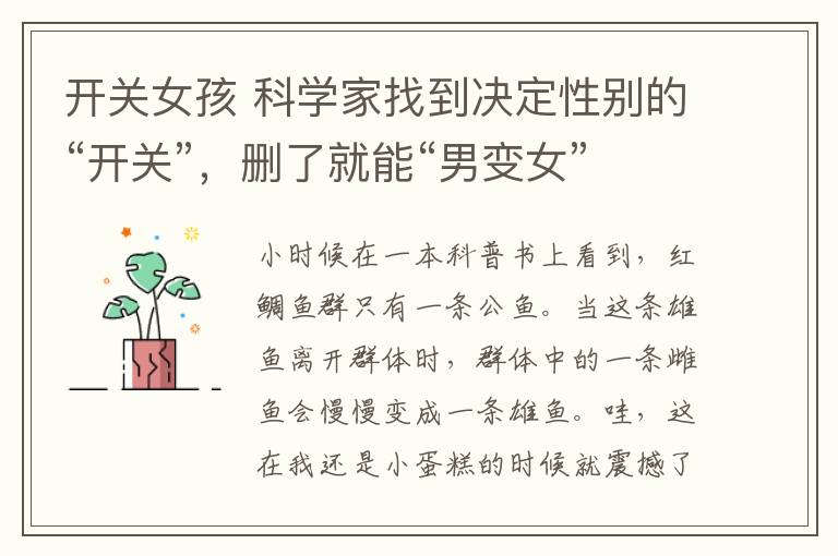 开关女孩 科学家找到决定性别的“开关”,删了就能“男变女”