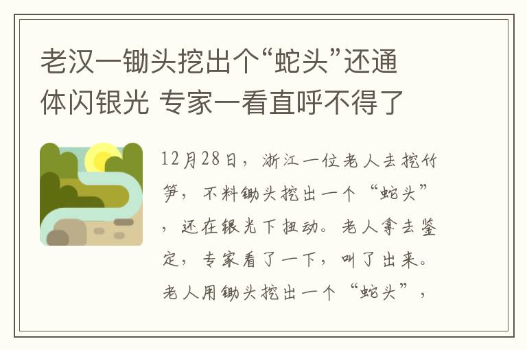 老汉一锄头挖出个“蛇头”还通体闪银光 专家一看直呼不得了