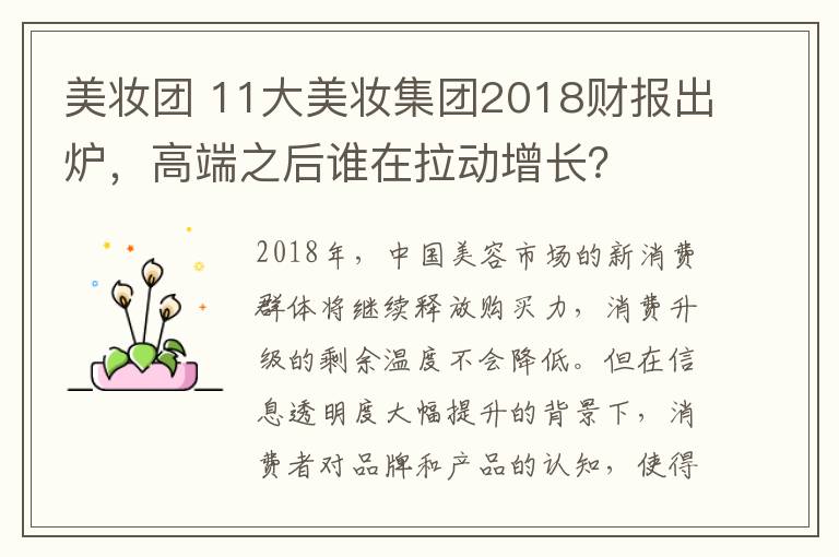 美妆团 11大美妆集团2018财报出炉,高端之后谁在拉动增长?