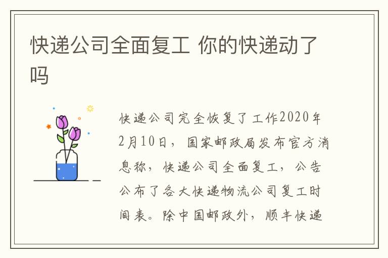 快递公司全面复工 你的快递动了吗