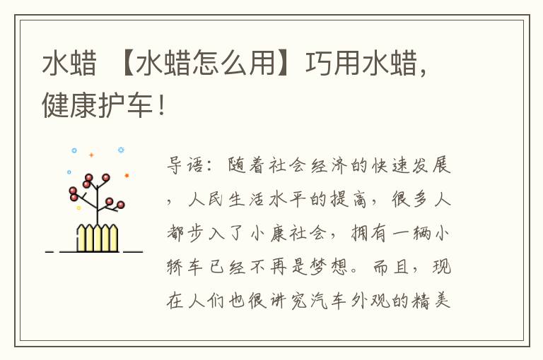 水蜡 【水蜡怎么用】巧用水蜡,健康护车!