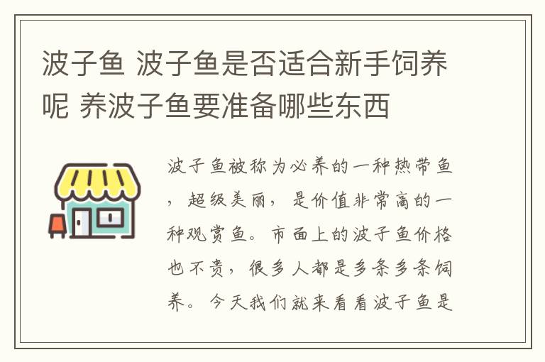 波子鱼 波子鱼是否适合新手饲养呢 养波子鱼要准备哪些东西