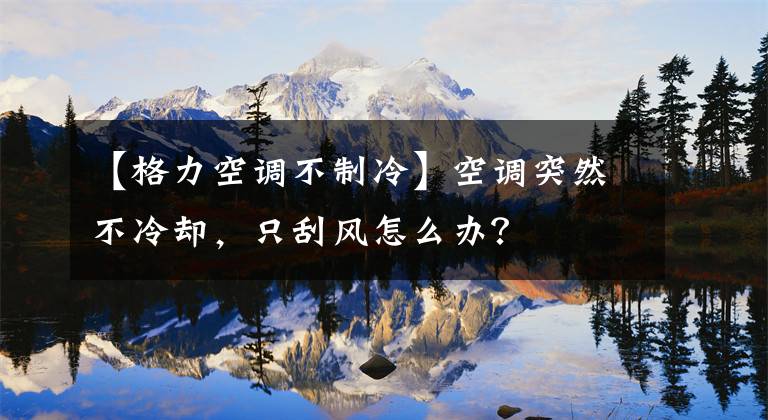 【格力空调不制冷】空调突然不冷却,只刮风怎么办?