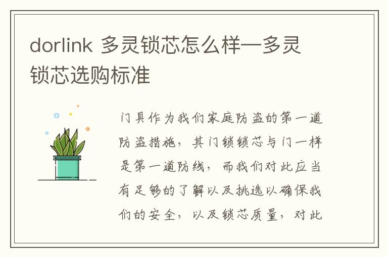 dorlink 多灵锁芯怎么样—多灵锁芯选购标准