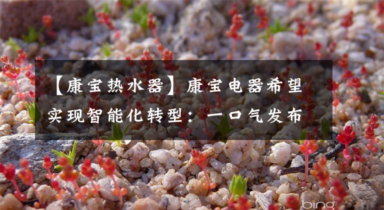【康宝热水器】康宝电器希望实现智能化转型：一口气发布50多套新产品。