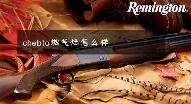 cheblo燃气灶怎么样