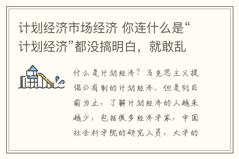 计划经济市场经济 你连什么是“计划经济”都没搞明白,就敢乱喷?!
