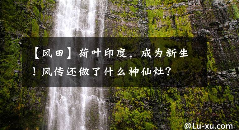 【风田】荷叶印度,成为新生!风传还做了什么神仙灶?