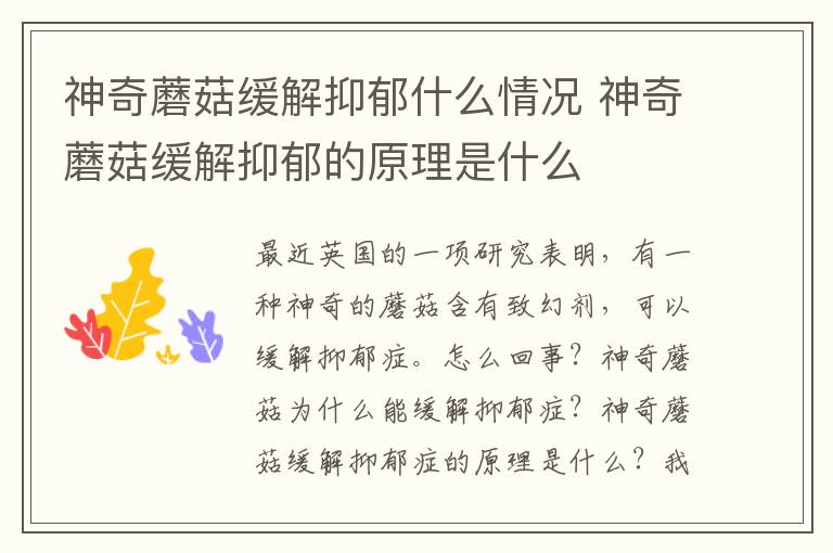 神奇蘑菇缓解抑郁什么情况 神奇蘑菇缓解抑郁的原理是什么