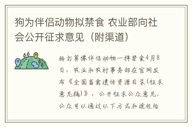 狗为伴侣动物拟禁食 农业部向社会公开征求意见(附渠道)