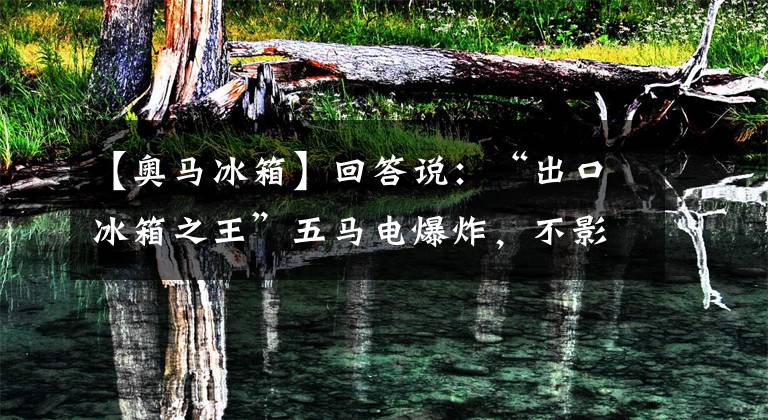 【奥马冰箱】回答说:“出口冰箱之王”五马电爆炸,不影响TCL邀请收购。