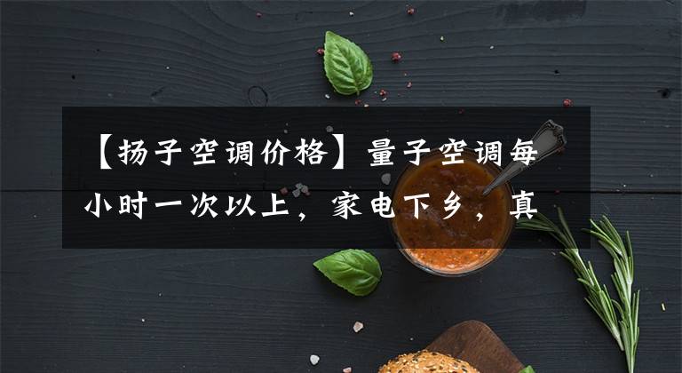 【扬子空调价格】量子空调每小时一次以上，家电下乡，真是坑人