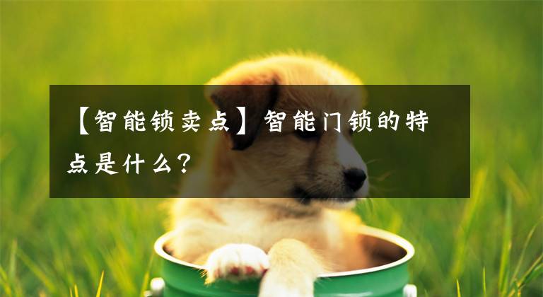 【智能锁卖点】智能门锁的特点是什么?