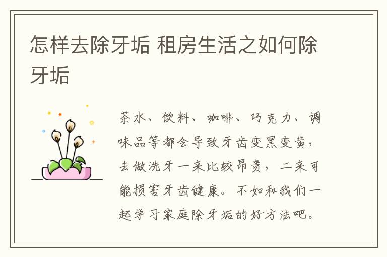 怎样去除牙垢 租房生活之如何除牙垢