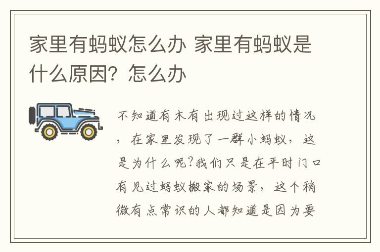 家里有蚂蚁怎么办 家里有蚂蚁是什么原因？怎么办