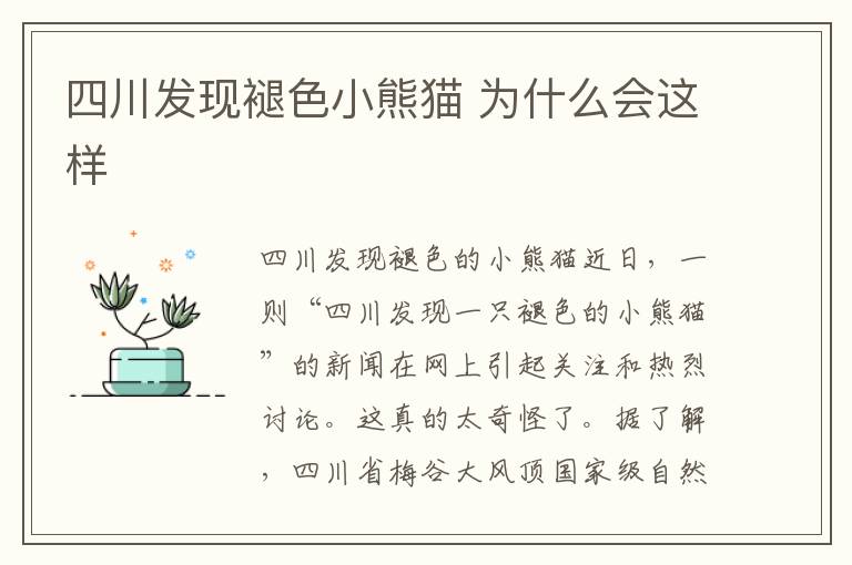四川发现褪色小熊猫 为什么会这样