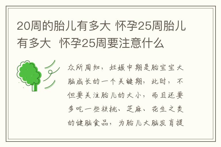 20周的胎儿有多大 怀孕25周胎儿有多大 怀孕25周要注意什么