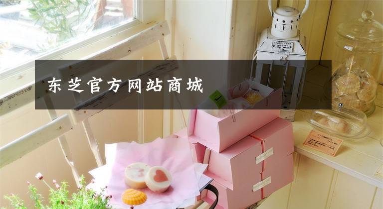 东芝官方网站商城