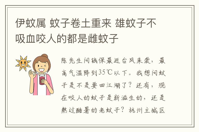 伊蚊属 蚊子卷土重来 雄蚊子不吸血咬人的都是雌蚊子