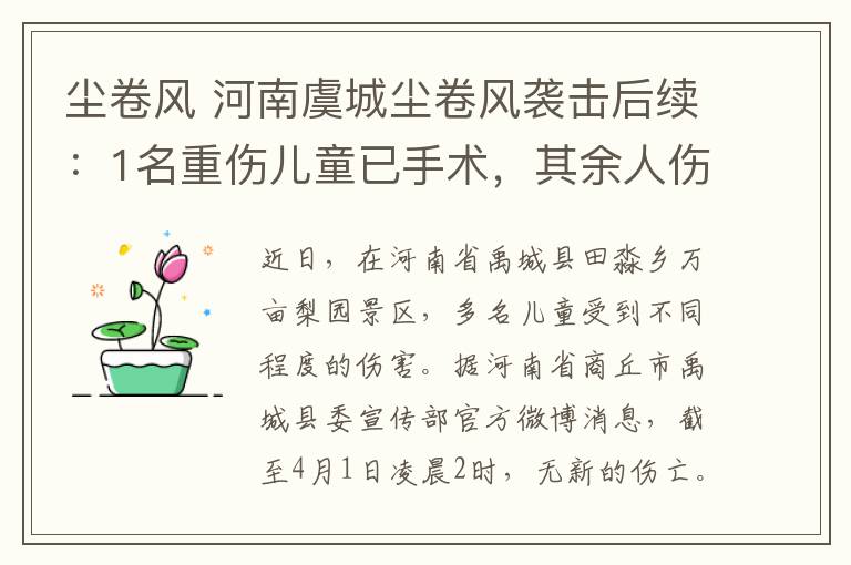 尘卷风 河南虞城尘卷风袭击后续：1名重伤儿童已手术，其余人伤情稳定