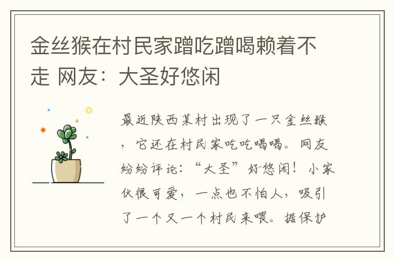 金丝猴在村民家蹭吃蹭喝赖着不走 网友:大圣好悠闲