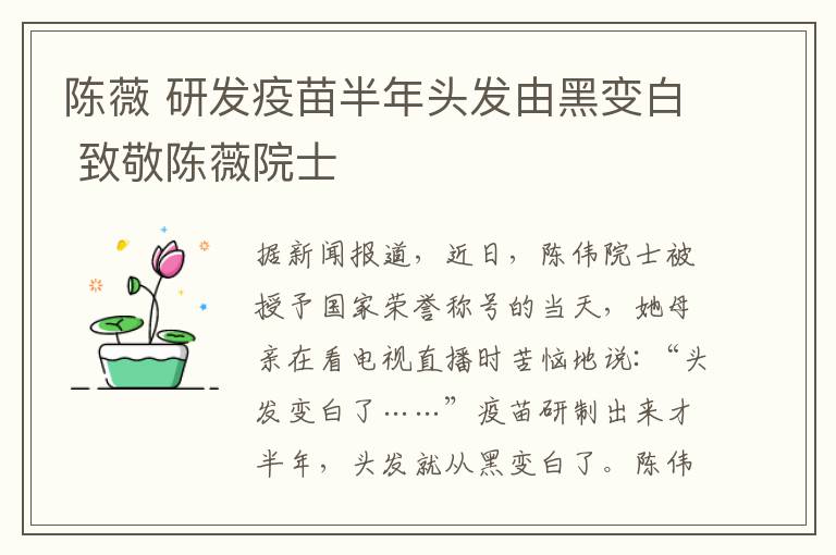 陈薇 研发疫苗半年头发由黑变白 致敬陈薇院士