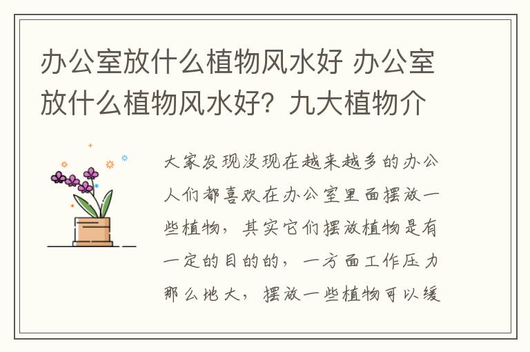 办公室放什么植物风水好 办公室放什么植物风水好?九大植物介绍