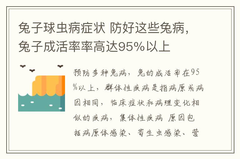 兔子球虫病症状 防好这些兔病,兔子成活率率高达95%以上