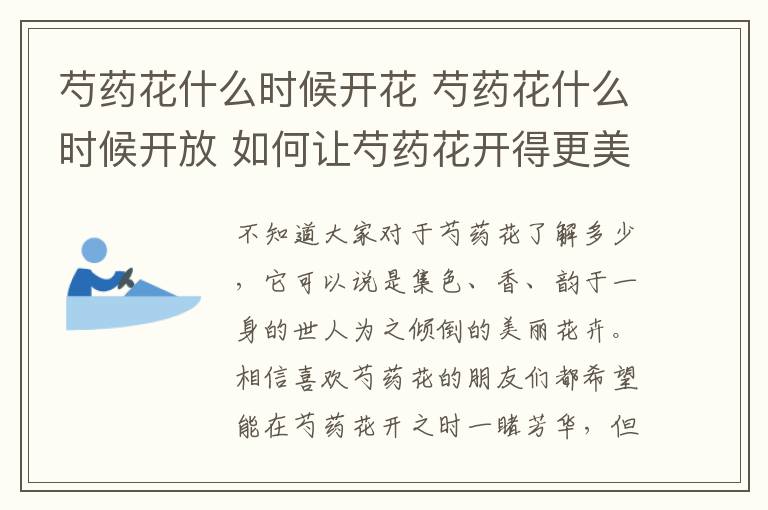 芍药花什么时候开花 芍药花什么时候开放 如何让芍药花开得更美