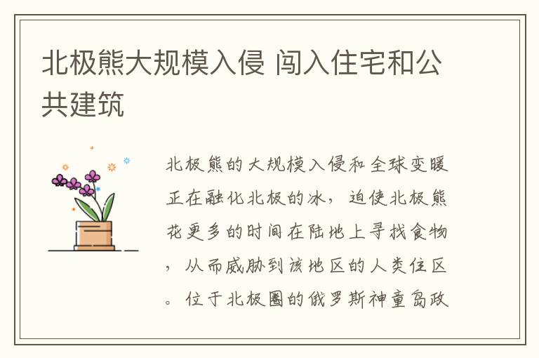 北极熊大规模入侵 闯入住宅和公共建筑