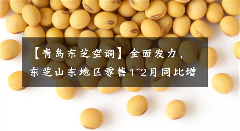 【青岛东芝空调】全面发力，东芝山东地区零售1~2月同比增长30%以上。