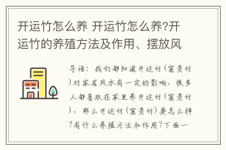 开运竹怎么养 开运竹怎么养?开运竹的养殖方法及作用、摆放风水!