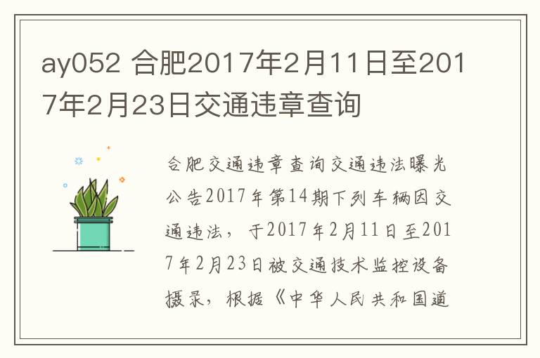 ay052 合肥2017年2月11日至2017年2月23日交通违章查询