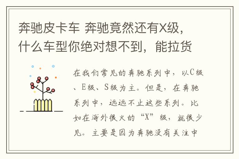 奔驰皮卡车 奔驰竟然还有X级,什么车型你绝对想不到,能拉货能载人