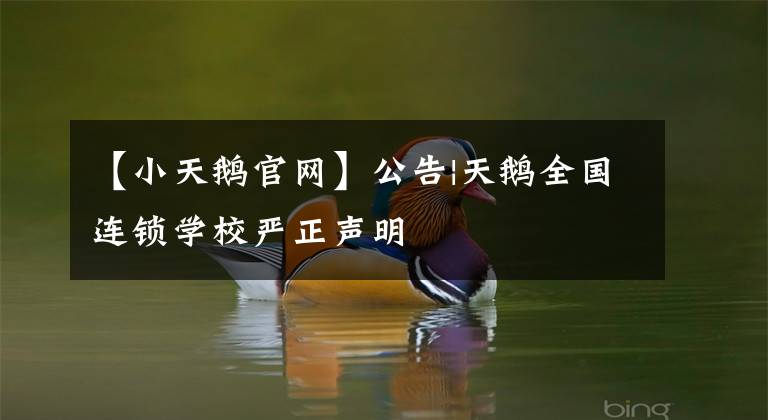 【小天鹅官网】公告|天鹅全国连锁学校严正声明