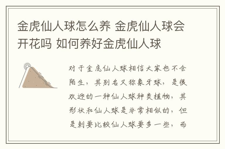 金虎仙人球怎么养 金虎仙人球会开花吗 如何养好金虎仙人球