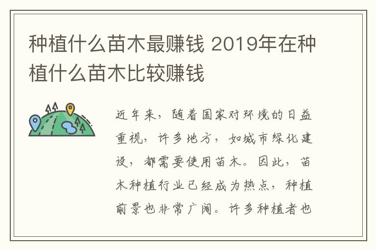 种植什么苗木最赚钱 2019年在种植什么苗木比较赚钱