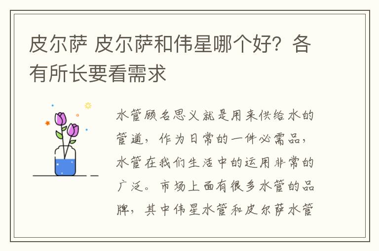 皮尔萨 皮尔萨和伟星哪个好?各有所长要看需求