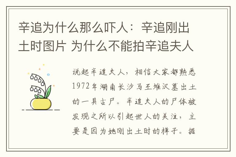 辛追为什么那么吓人:辛追刚出土时图片 为什么不能拍辛追夫人