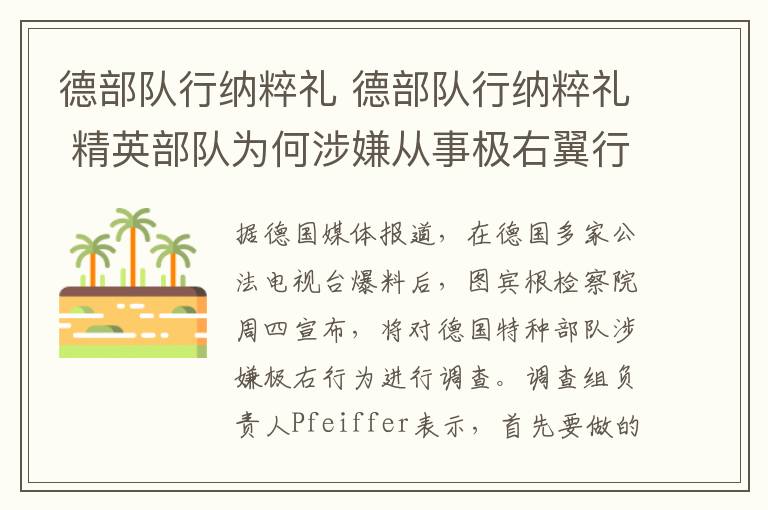 德部队行纳粹礼 德部队行纳粹礼 精英部队为何涉嫌从事极右翼行为?