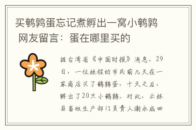 买鹌鹑蛋忘记煮孵出一窝小鹌鹑 网友留言:蛋在哪里买的